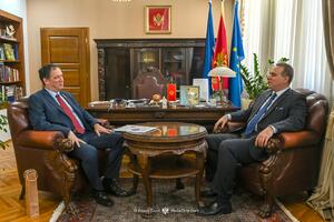 Ivanović: Crna Gora će nastaviti da poziva na primirje i...