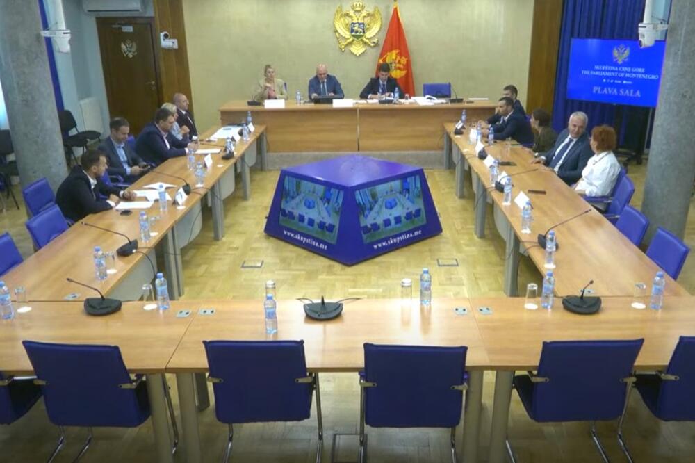 Sa sjednice Odbora, Foto: Skupština Crne Gore