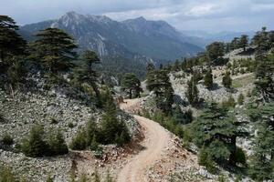 Istorija i politika: Drevna civilizacija koja je inspirisala...