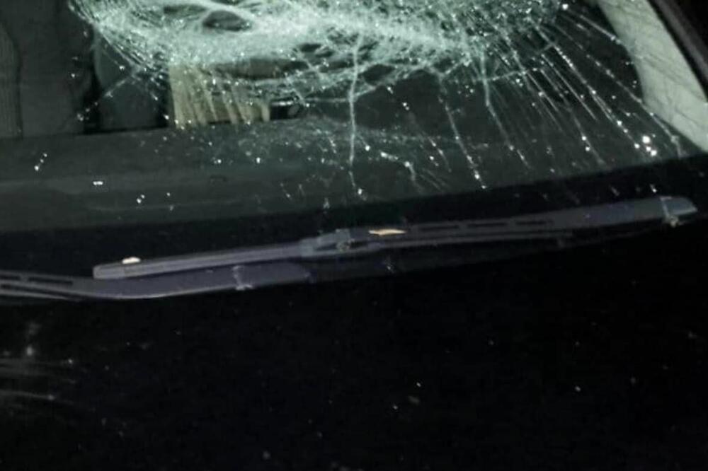 Foto: Uprava za šume