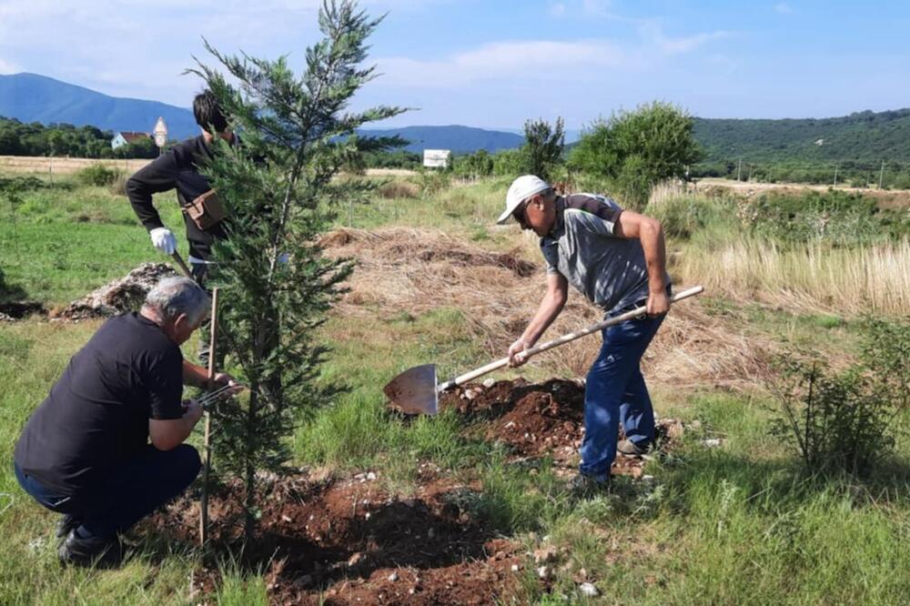 Foto: NVO Medija tim