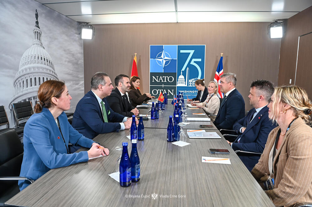 Milojko Spajić, Bjarni Benediktson