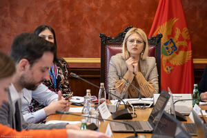 Nedović: ES 2 je najbolji odgovor na posljedice globalnog...