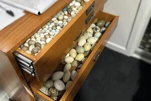 Zaplijenjeno više hiljada rijetkih ptičjih jaja u vrijednosti od...