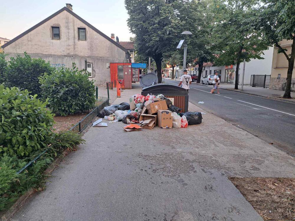 <p>"A kad smo kod smeća samo ustanite iz opštinskih fotelja, koje volite više od bilo čega, i pogledajte kroz prozor, jer smeće ne vidi samo onaj koji neće"</p>