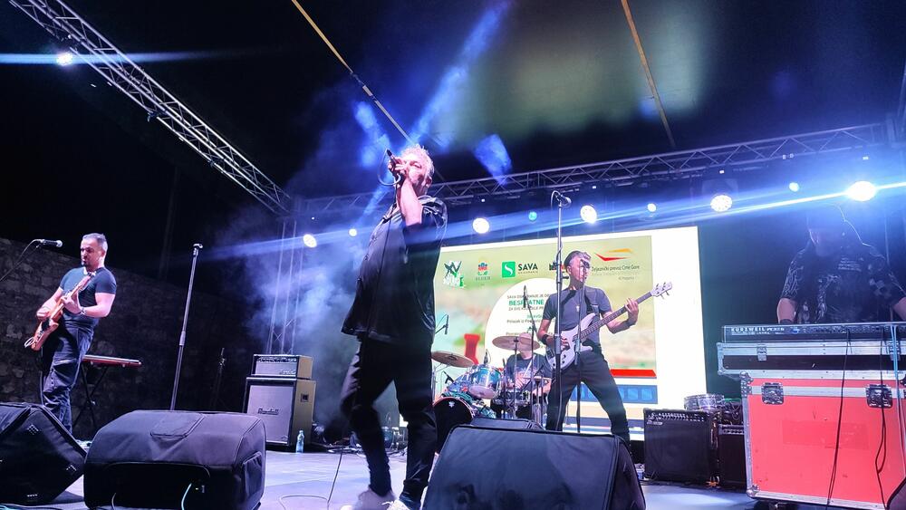 <p>Nastupili Nele Karajlić, Denis & Denis, bendovi Azilanti, Deminutiv, Artan Lili i Liga Vega</p>