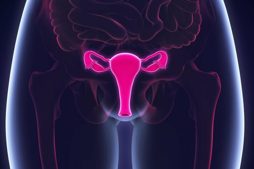 Qozogiston pornosini toliq tomoqqa tomosha qiling Rus osmirlar TNC pron shirin jinsiy aloqa