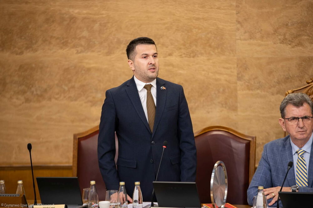 Pejović: Dinamiku evropskog puta kritikuju oni koji su zatvorili...