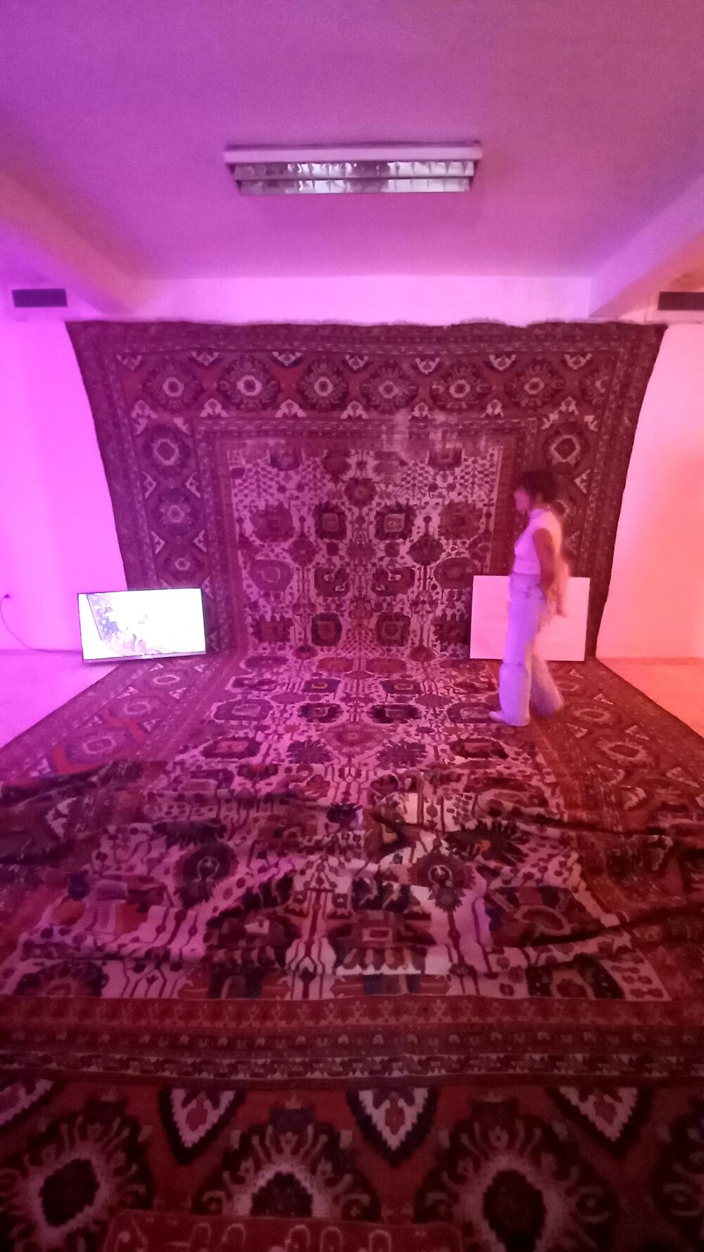 <p>Ivana Ivković na FIAT-u predstavila drugi segment multimedijalnog projekta “Luka povjerenja”, sjutra slijedi performans u Modernoj galeriji</p>