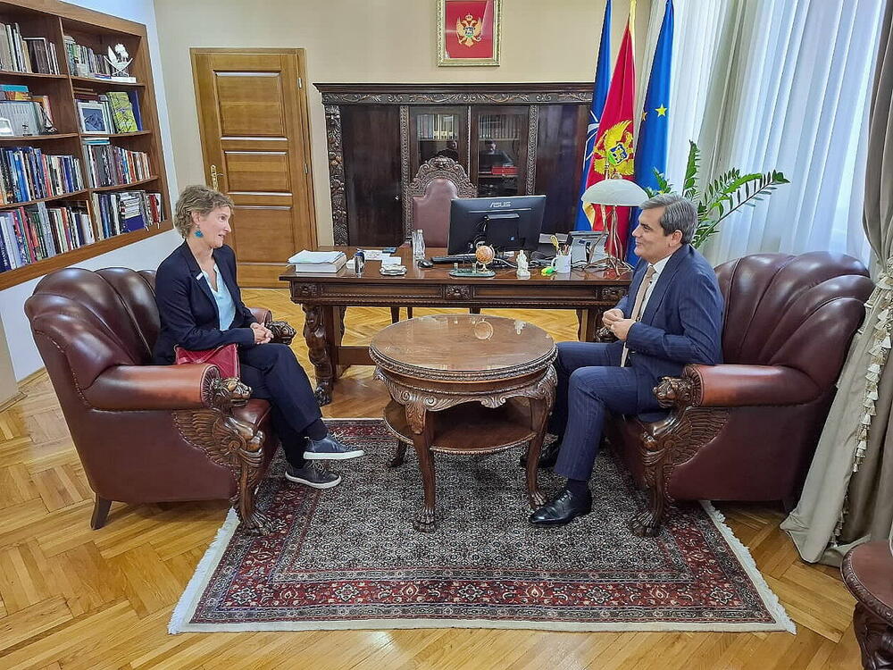 Ibrahimović i Kraus