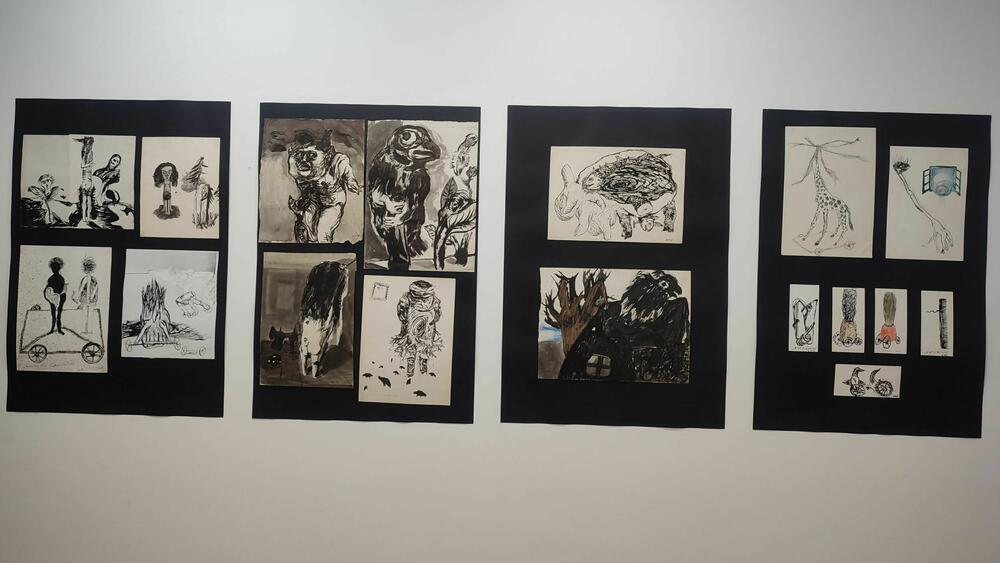 <p>Izložba slika, crteža i skulptura &ldquo;Duboki vid Žarka Bjelice&rdquo; otvorena je u &ldquo;Galeriji A&rdquo;</p>