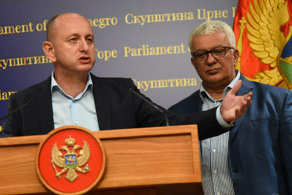 Anketa TV Vijesti: Knežević prepoznat kao lider Srba u Crnoj Gori,...