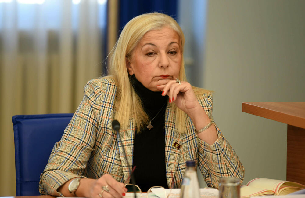 Despotović: Usvajanje PUP Podgorice još jednom pokazalo...