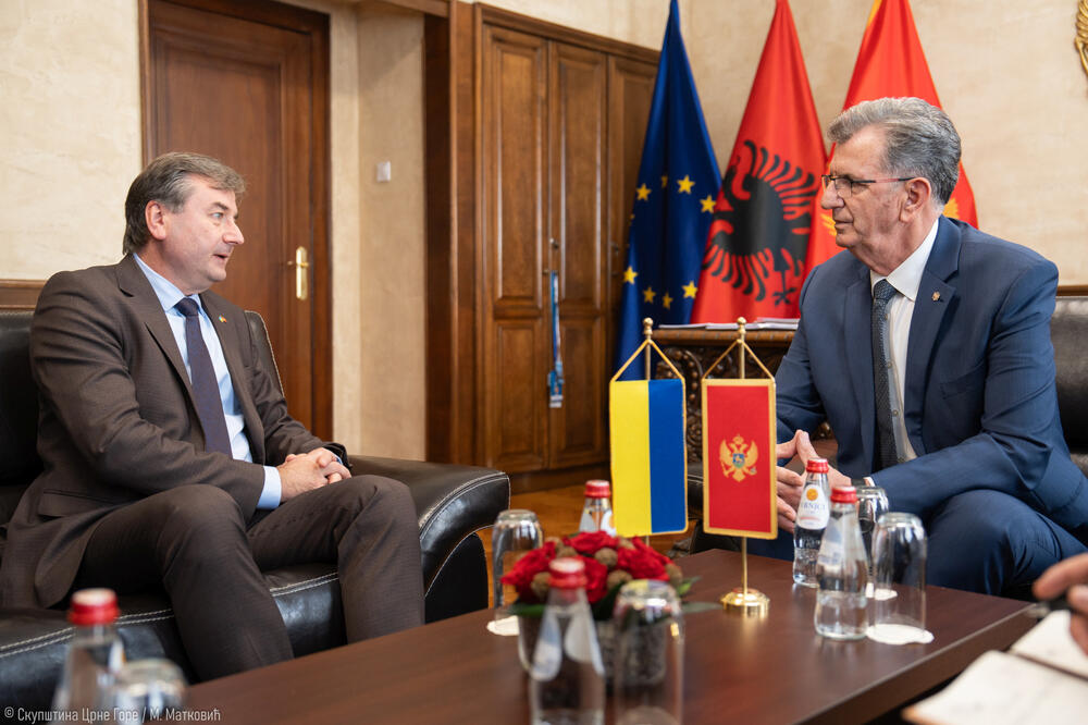 Foto: Skupština Crne Gore/M.Matković