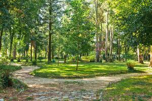 Najveća botanička bašta bogatija za 110 sadnica: Biće posađeni...