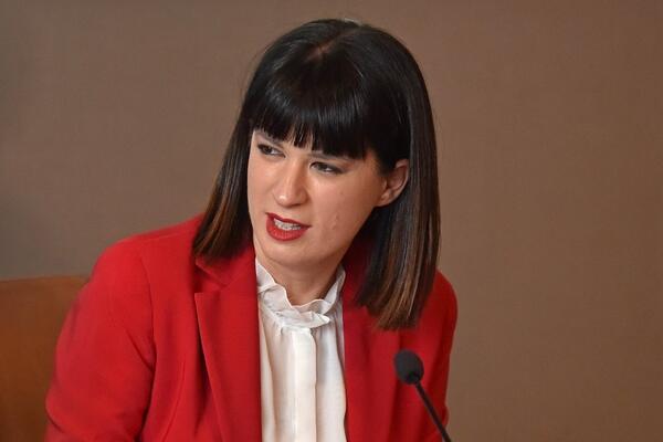 Popović Samardžić: Diese Art von GKU wird die Situation nicht grundlegend verändern,...