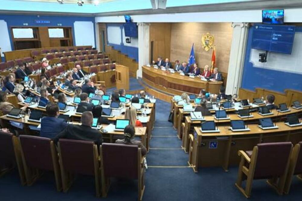 From the meeting, Photo: Screenshot/Assembly of Montenegro