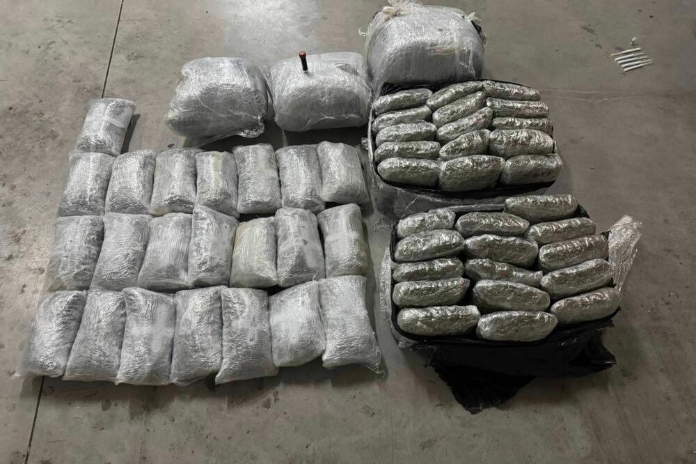 Zaplijenjena marihuana, Foto: Uprava policije