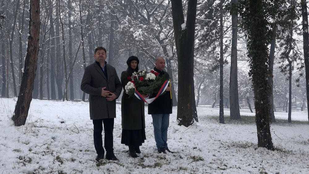 Pljevaljska bitka, Stražice