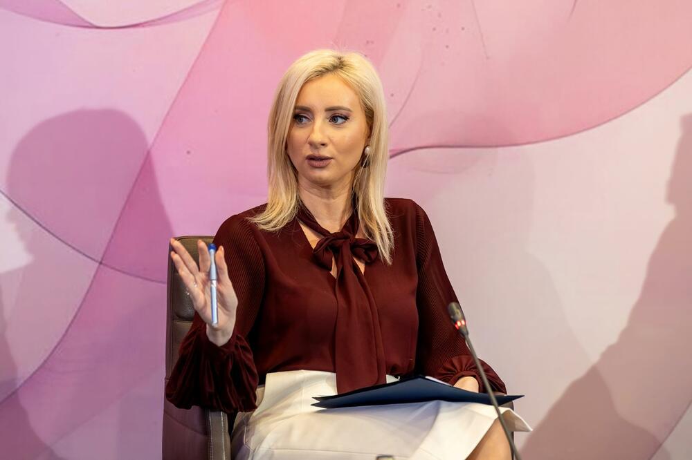 Gorčević na događaju, Foto: UNDP u Crnoj Gori