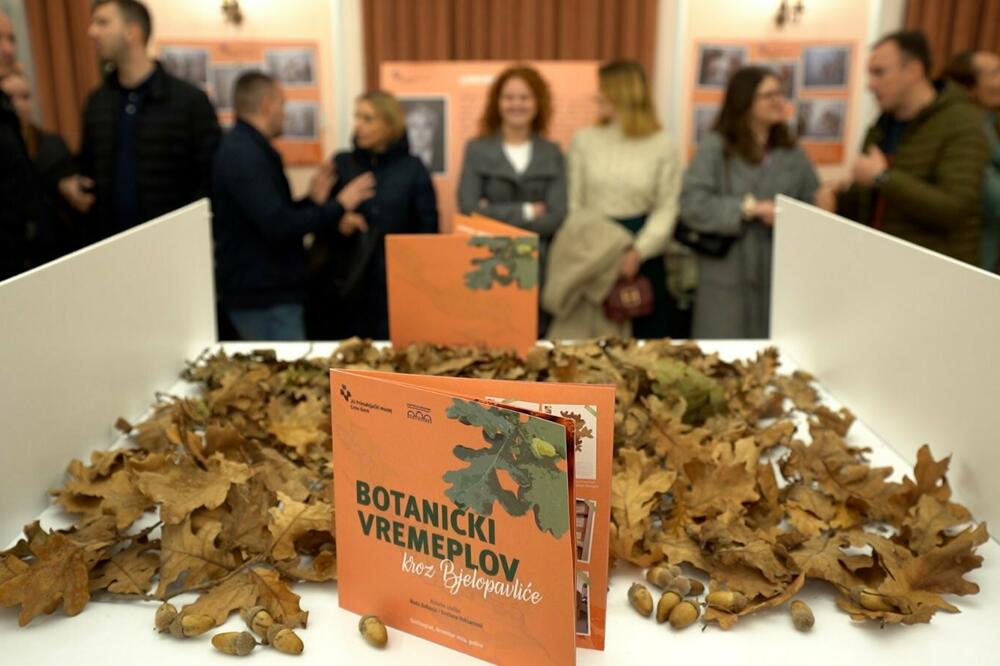 Sa izložbe, Foto: Media Biro