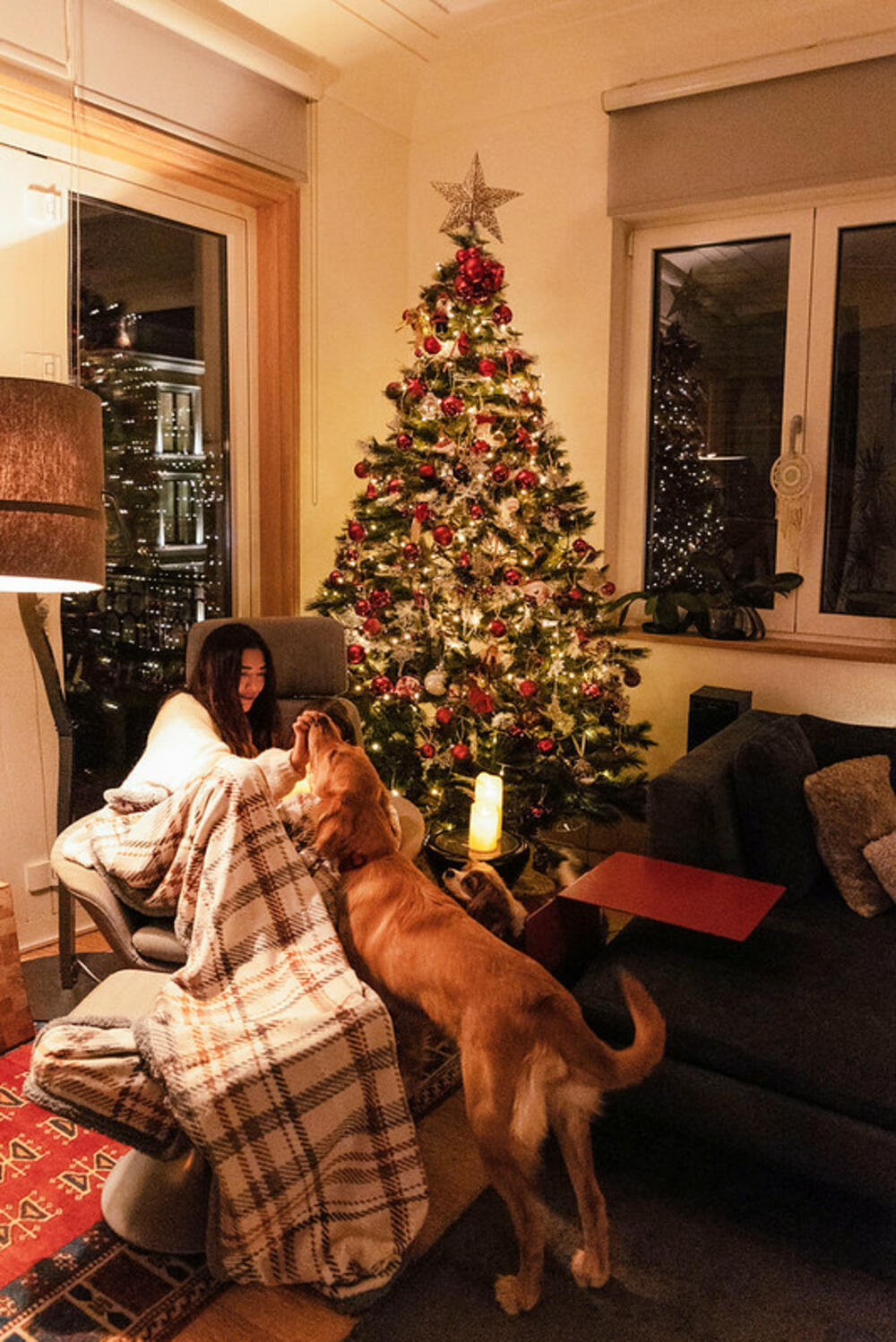 <p>Porto Montenegro donosi nezaboravne praznične trenutke koji će upotpuniti zimske dane, pod temom <strong>A Festive Season Less Ordinary</strong>.</p>