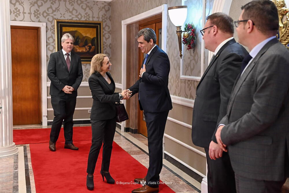 Novogodišnji prijem za diplomatski kor, Ervin Ibrahimović