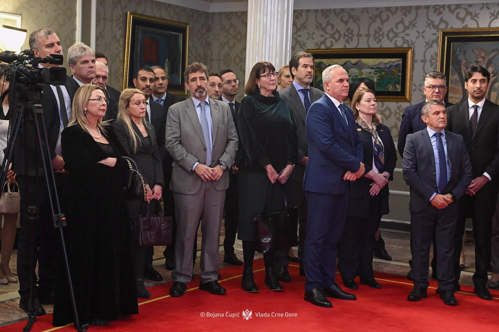 Novogodišnji prijem za diplomatski kor, Ervin Ibrahimović