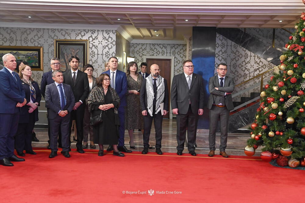 Novogodišnji prijem za diplomatski kor, Ervin Ibrahimović