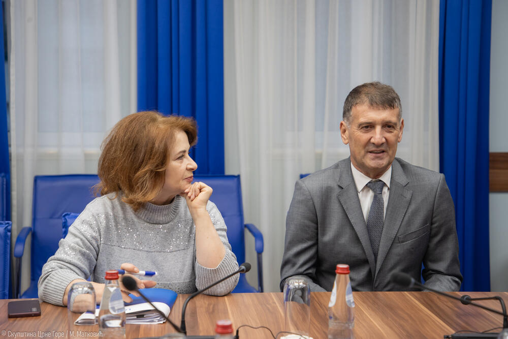 Radulović i Mikavica