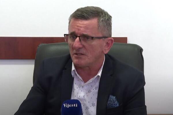 Radulović: Neozbiljan pokušaj da se svako ukazivanje na...