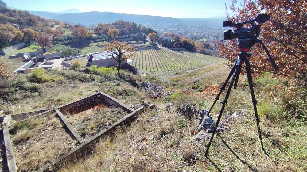 Vinograd Ivanovića u Doljanima