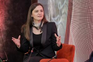 Andrić: Vrijeme je da sve parlamentarne stranke već na narednim...