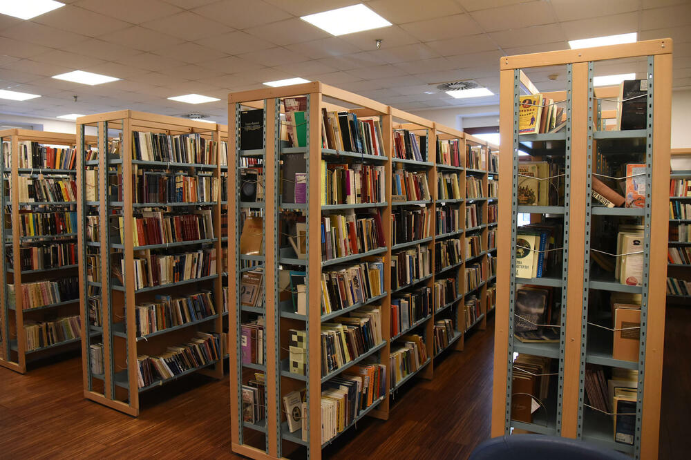 Detalj iz biblioteke "Radosav Ljumović", Foto: Luka Zeković