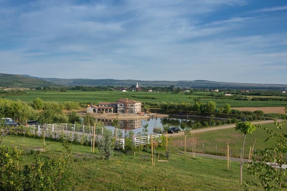 vinograd Transilvanija