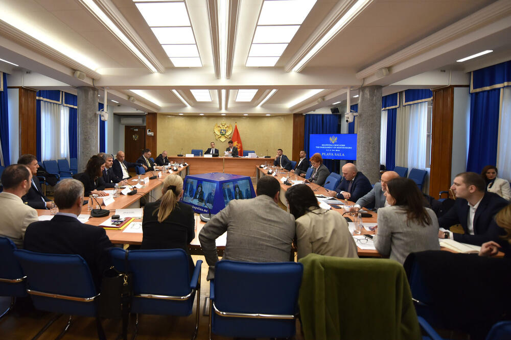 Sjednica Odbora, Foto: Boris Pejović