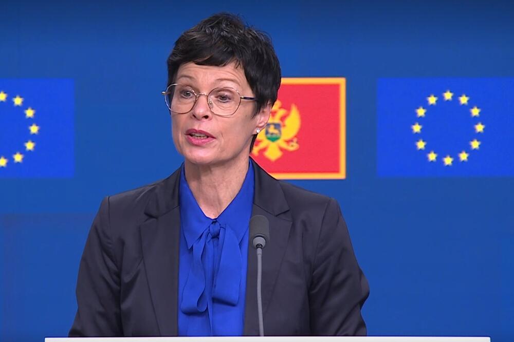 Kos, Foto: Screenshot