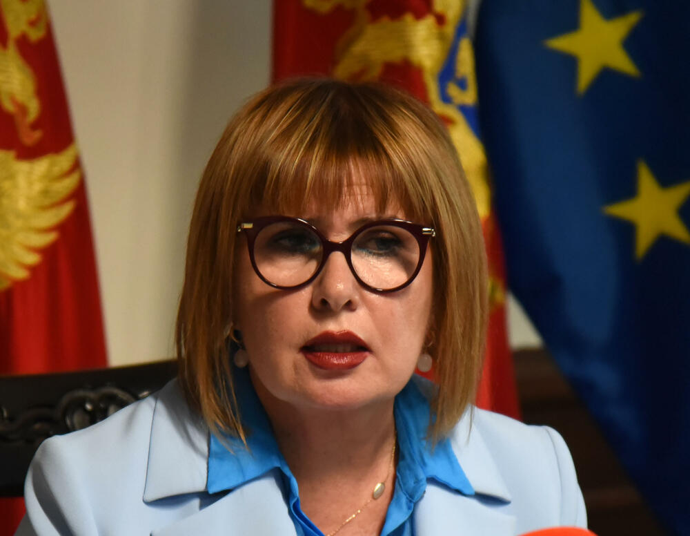 Pavličić: Pitanje smještajnih kapaciteta u pritvoru nije u...