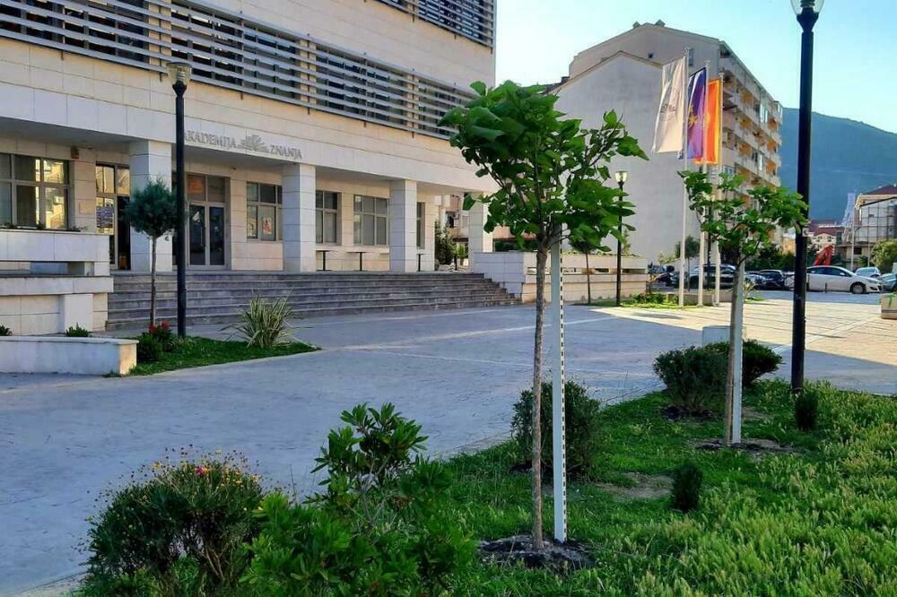 Akademija znannja, Foto: Vuk Lajović