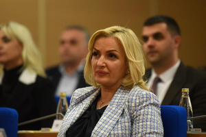 Borovinić Bojović: Politička neslaganja rješavati argumentima, a...