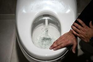 Neobični neprijatelj toaletnih dasaka u Japanu