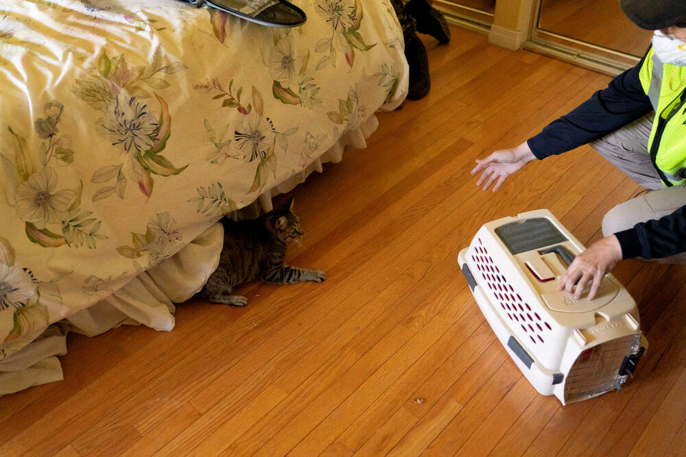 <p>Uprkos upozorenjima da je svaki pokušaj odlaska na opožareno područje visokorizičan, mnogi ljudi koji su bili prisiljeni da napuste svoje domove okupljaju se na kontrolnim tačkama na kojima se nalaze policajci, nadajući se da će dobiti priliku da vide u kakvom su stanju njihove kuće i jesu li im domovi uništeni</p>