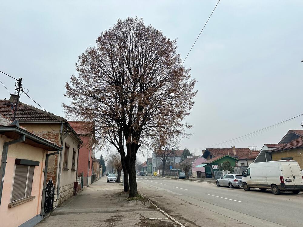  Bivša Ulica Maršala Tita u Pirotu