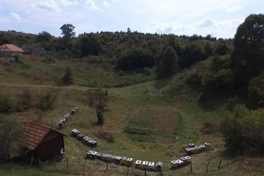 Džuverovićev uljanik, Foto: Privatna arhiva