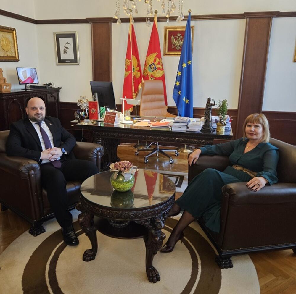Pavličić i Božović novi predstavnici Crne Gore u V