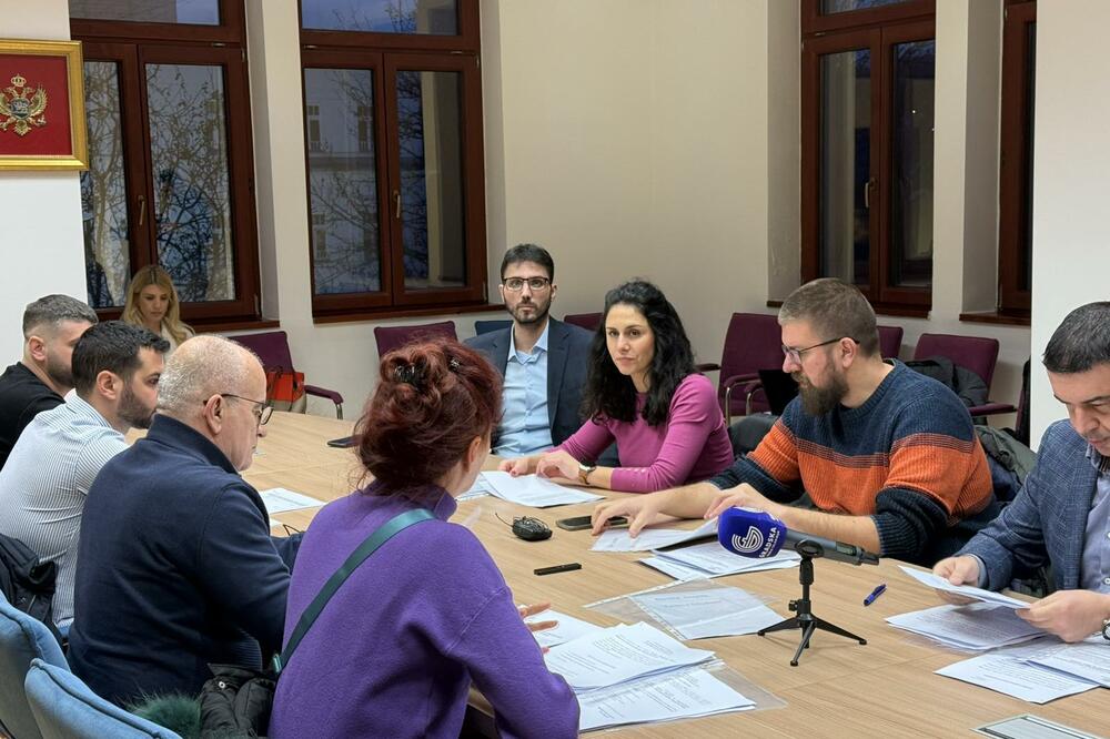 Sa sjednice, Foto: Nikola Saveljić