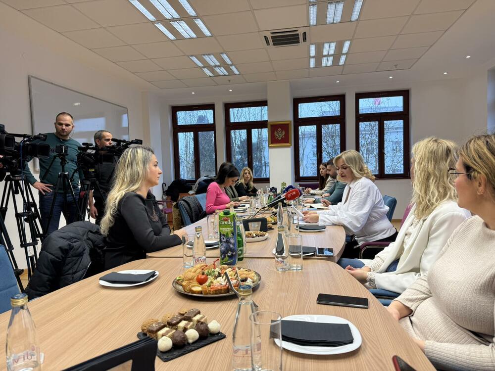 Jelena Borovinić Bojović i novinari