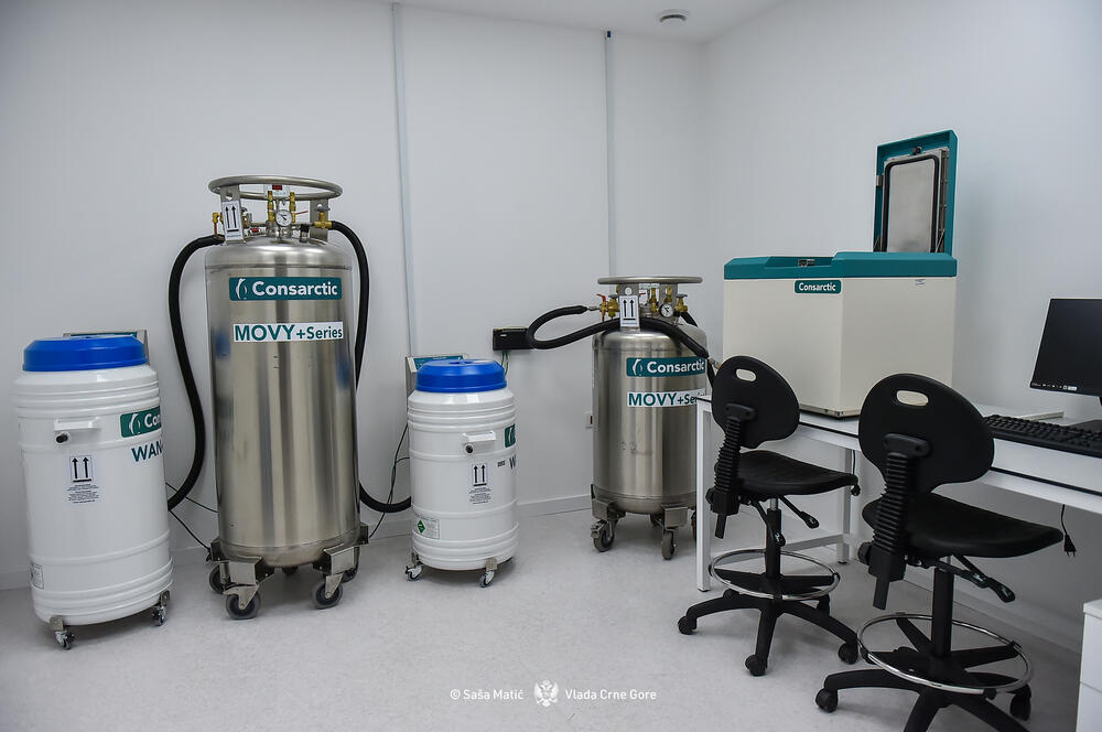 Otvaranje prve banke matičnih ćelija u Zavodu za transfuziju krvi