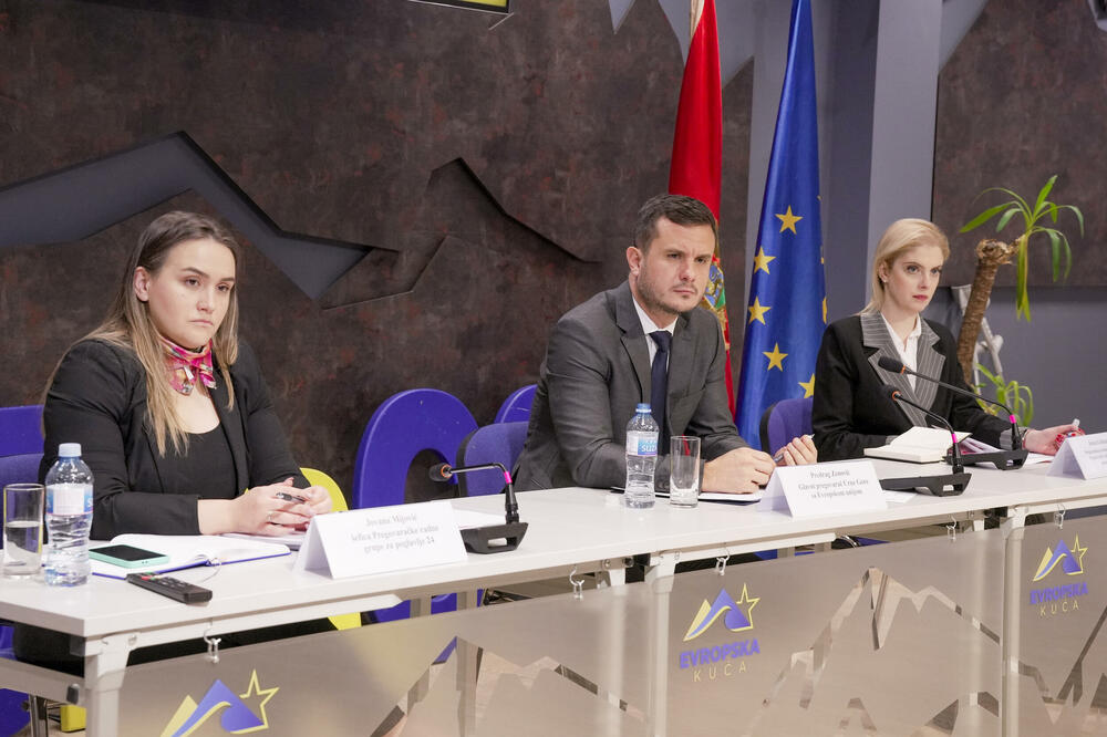 Sa konsultacija, Foto: MEP