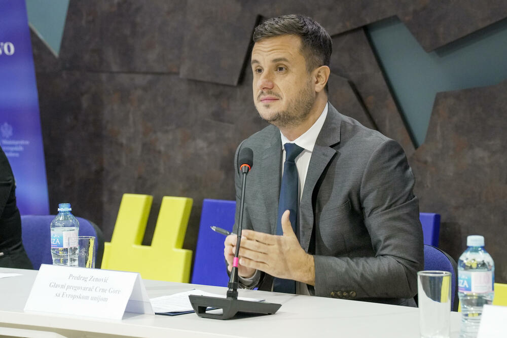 <p>Glavni pregovarač Crne Gore sa Evropskom unijom (EU) Predrag Zenović poručio je da je zajednički cilj da se kroz otvoreni dijalog i konstruktivne predloge NVO doprinese jačanju napora državne uprave u oblasti vladavine prava, kao i osiguravanju šireg društvenog konsenzusa povodom najvažnijih društvenih pitanja</p>